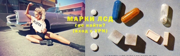 индика Горняк