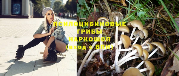 индика Горняк