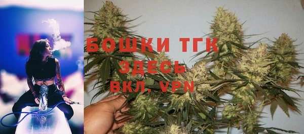 индика Горняк