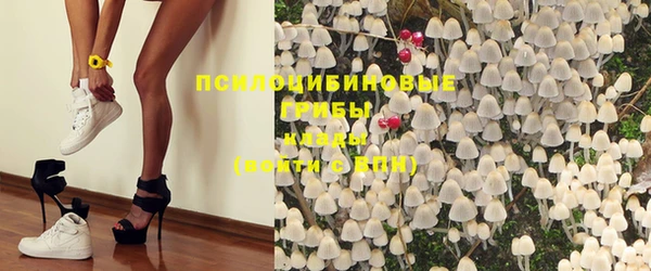 спайс Горнозаводск