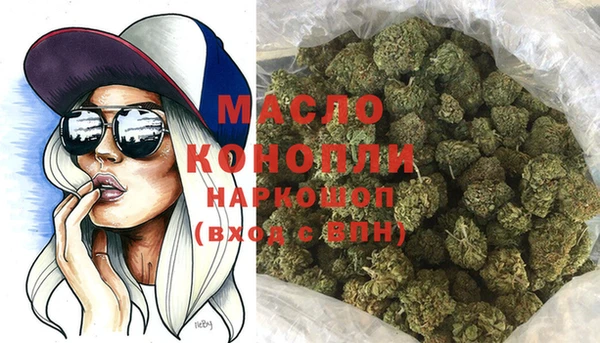 индика Горняк