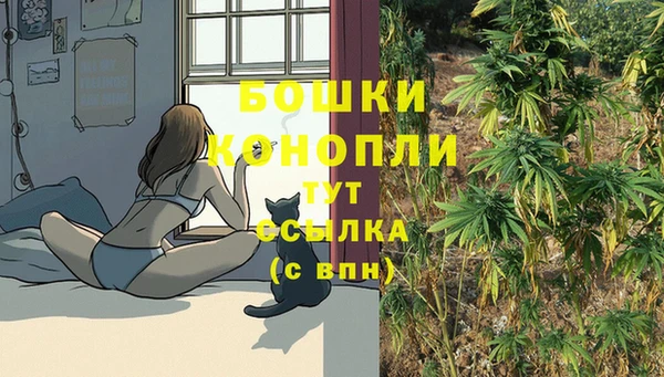 спайс Горнозаводск