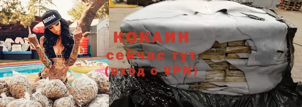 индика Горняк