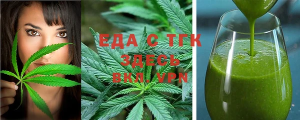 индика Горняк