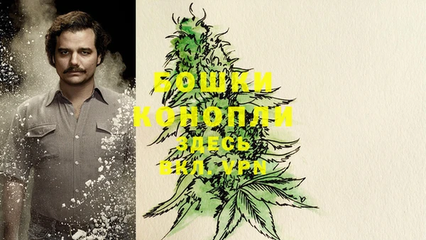 индика Горняк