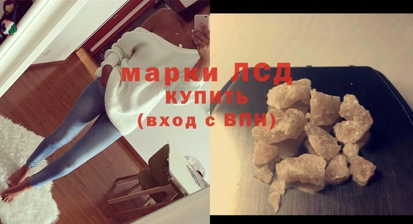индика Горняк